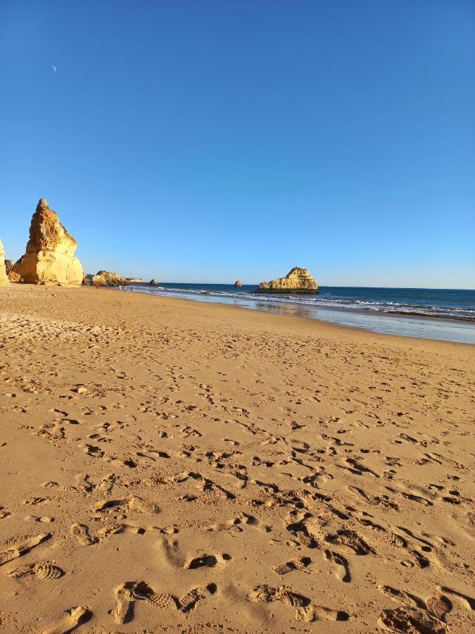 Vue Ocean *