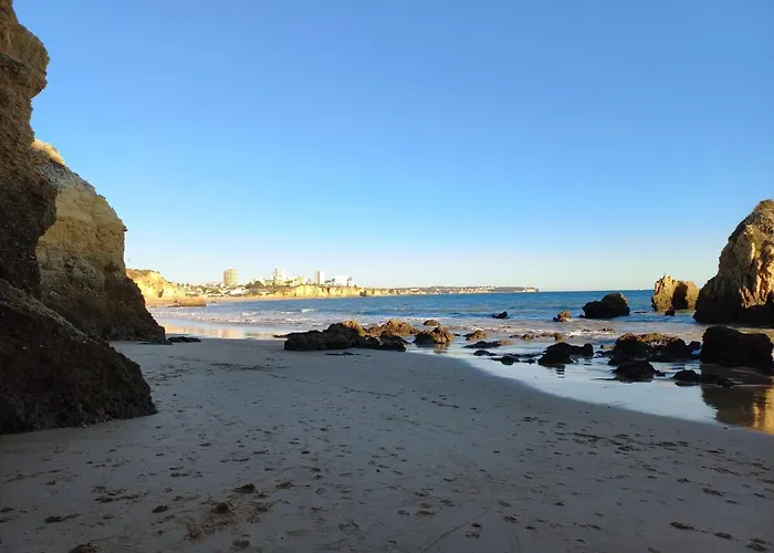Vue Ocean